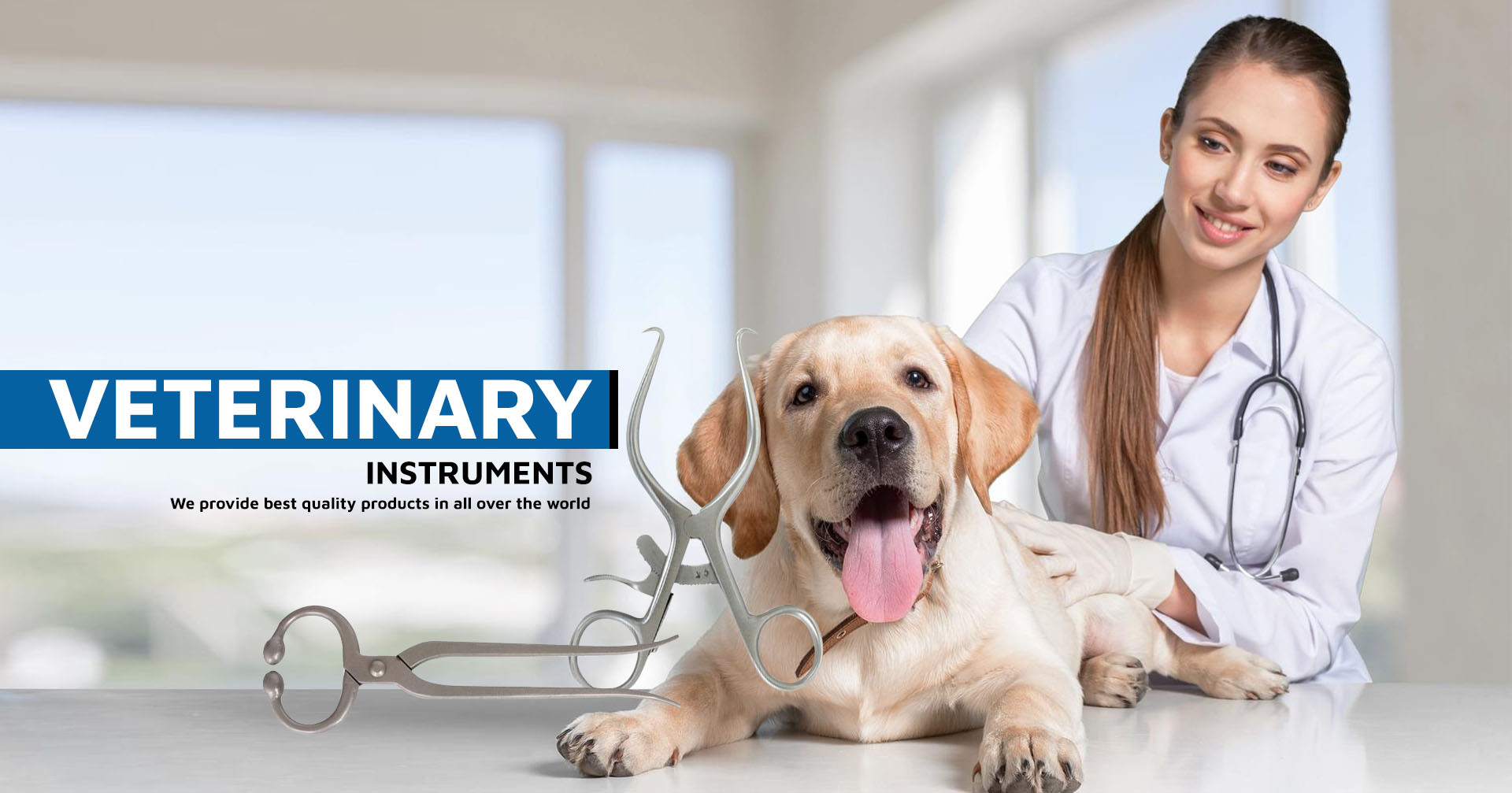 VETERINARY 1920x1007